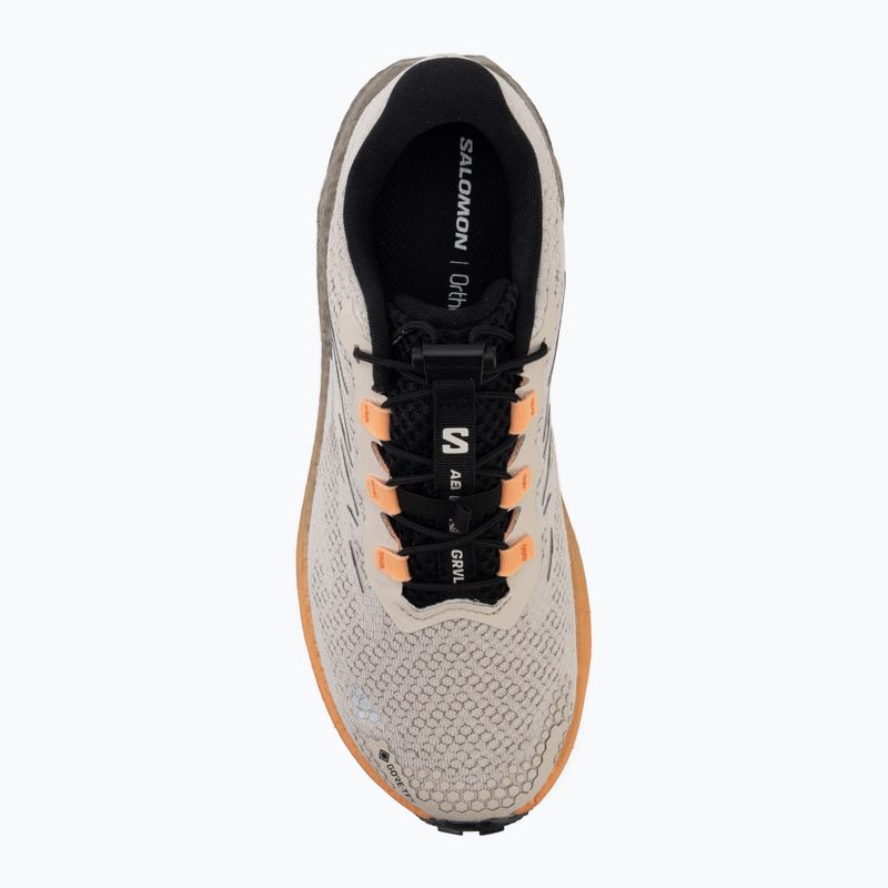 Дамски обувки за бягане Salomon Aero Blaze 4 GRVL GTX rainy day/black 5