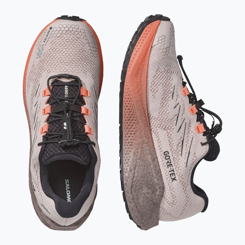 Дамски обувки за бягане Salomon Aero Blaze 4 GRVL GTX rainy day/black 3