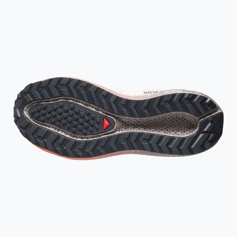 Дамски обувки за бягане Salomon Aero Blaze 4 GRVL GTX rainy day/black 4
