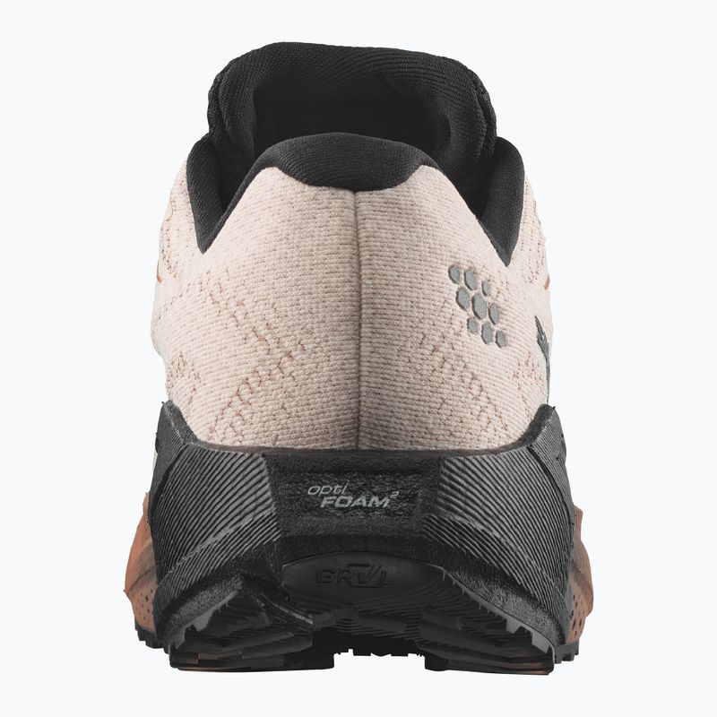 Мъжки обувки за бягане  Salomon Aero Blaze 4 GRVL GTX vanilla ice/black 2