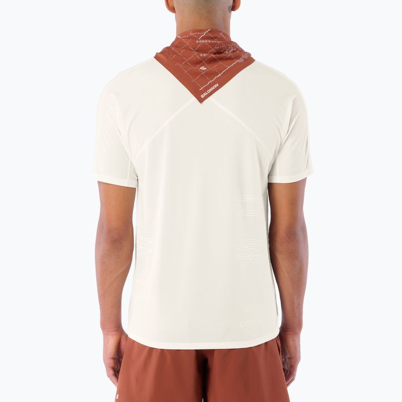 Мъжка тениска за бягане Salomon Sense Aero GFX Tee SS whisper white/raind day/bright white 2