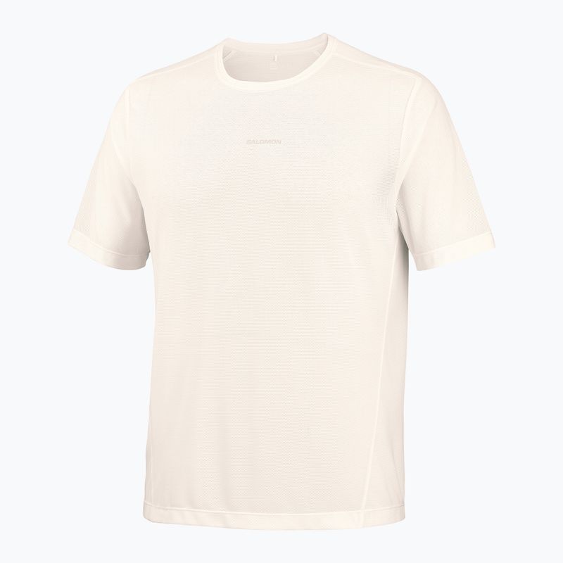 Мъжка тениска за бягане Salomon Shakeout Core GFX SS Tee whisper white/pink frosting 5