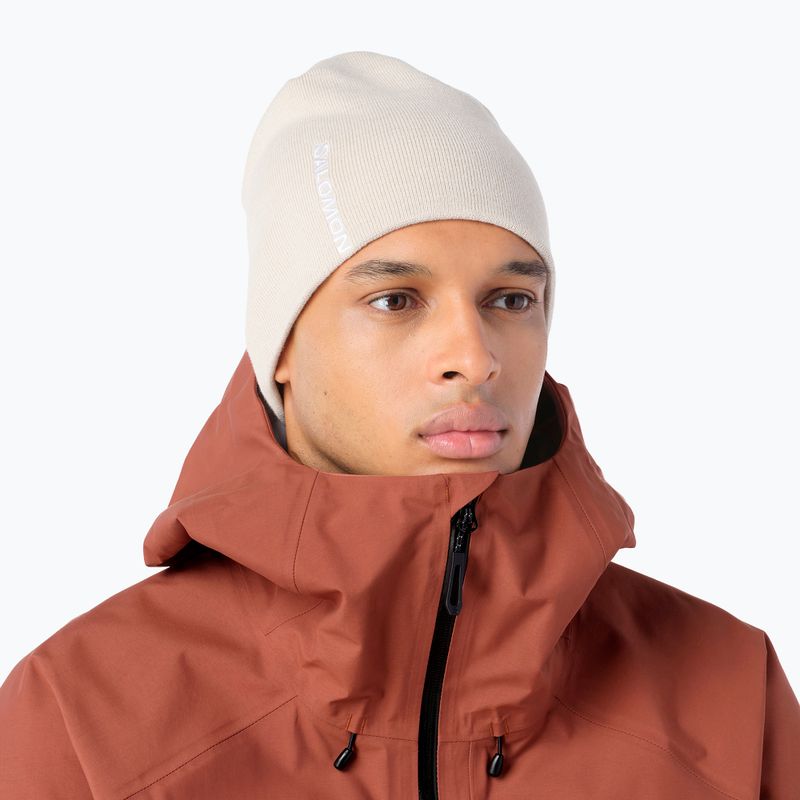 Зимна шапка Salomon Graphic silver cloud 2