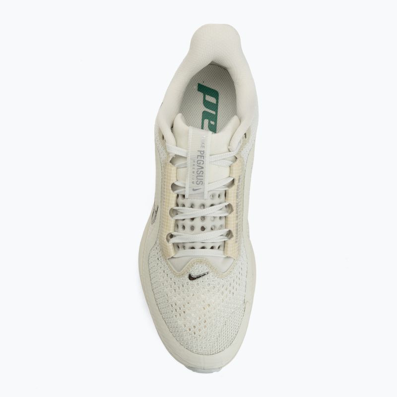 Дамски обувки за бягане Nike Pegasus Premium sea glass/malachite/metallic silver 5