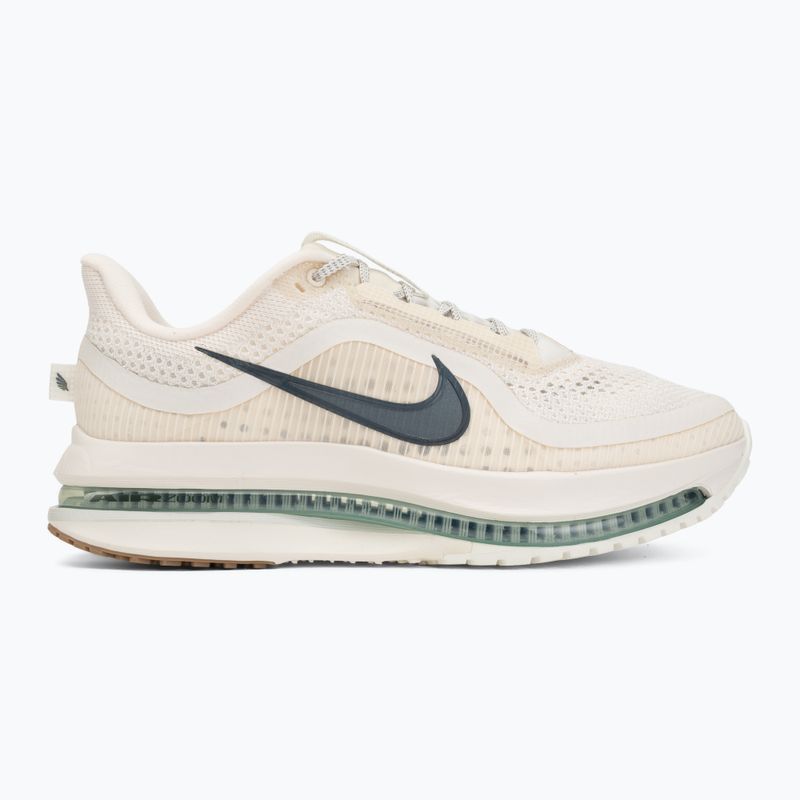 Мъжки обувки за бягане Nike Pegasus Premium Pale ivory/jade horizon/black spruce 2