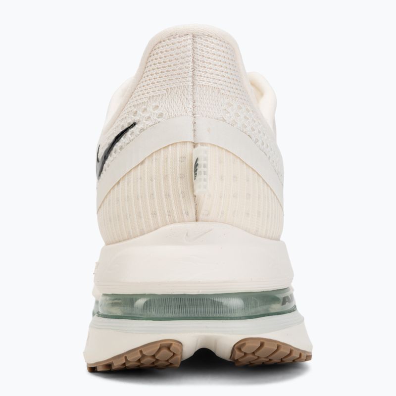 Мъжки обувки за бягане Nike Pegasus Premium Pale ivory/jade horizon/black spruce 6