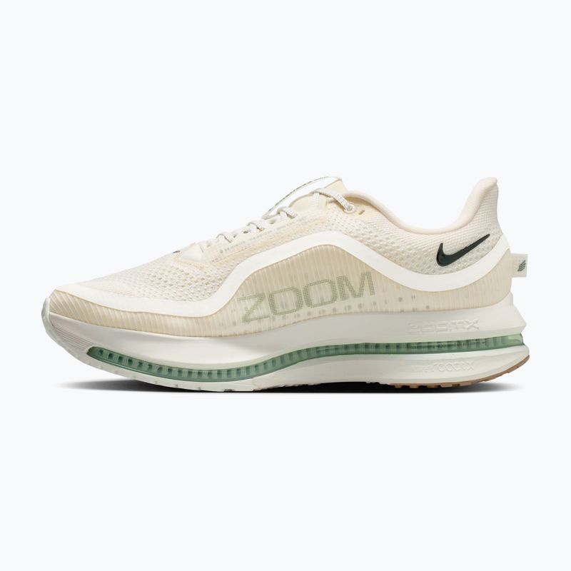 Мъжки обувки за бягане Nike Pegasus Premium Pale ivory/jade horizon/black spruce 2