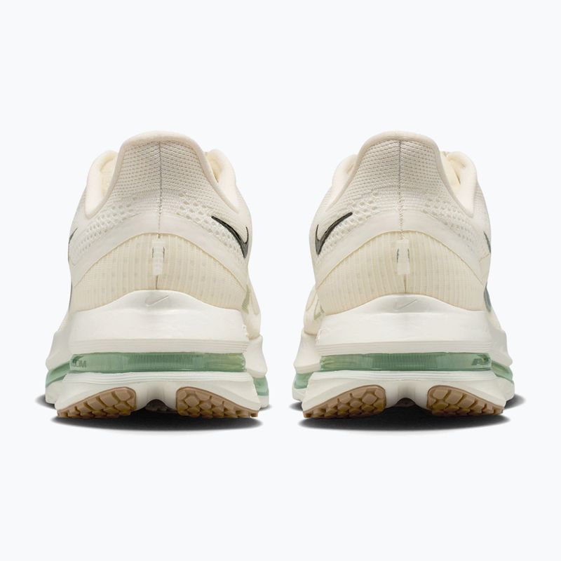 Мъжки обувки за бягане Nike Pegasus Premium Pale ivory/jade horizon/black spruce 4