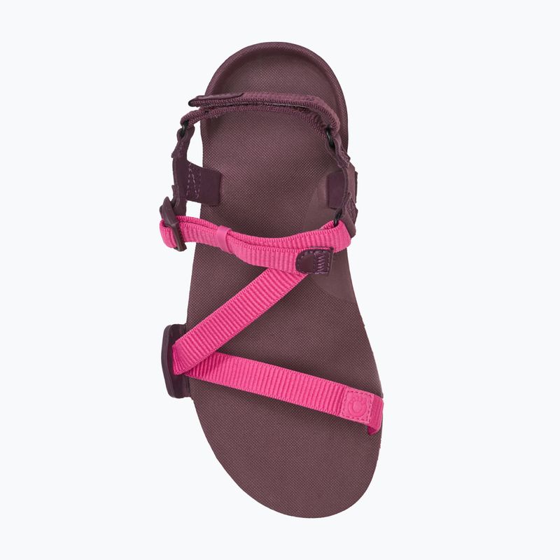 Дамски сандали barefoot Xero Shoes Z-Trail EV fuchsia purple 5