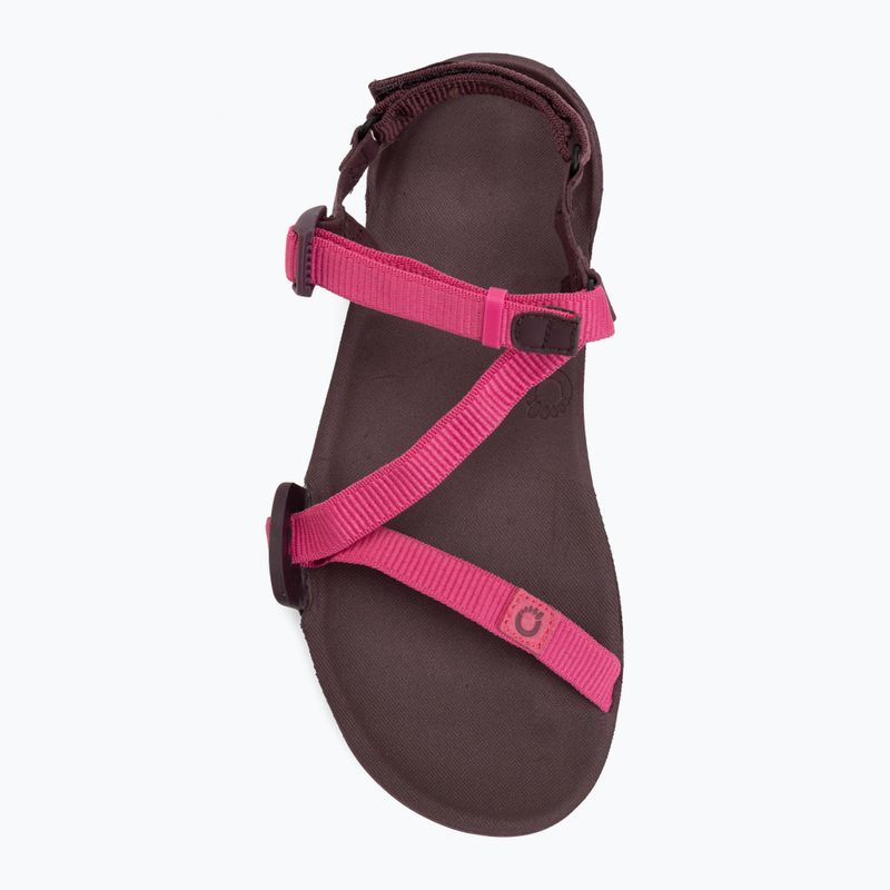 Дамски сандали barefoot Xero Shoes Z-Trail EV fuchsia purple 5