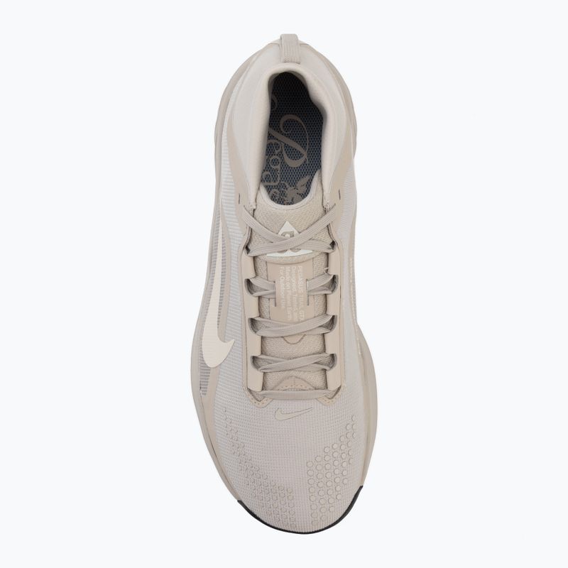 Мъжки обувки за бягане Nike ACG Pegasus Trail GORE-TEX Cream Ii/Light Orewood Brown 5