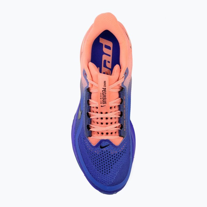 Мъжки обувки за бягане Nike Pegasus Premium racer blue/atomic pink/volt tint/black 5