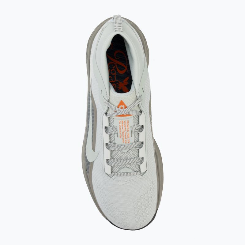 Мъжки обувки за бягане  Nike ACG Pegasus Trail GORE-TEX Light Silver/Light Army/Light Silver 5