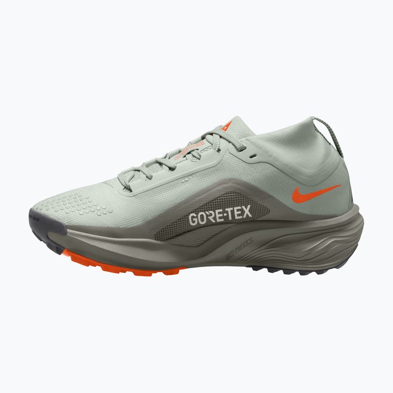 Дамски обувки за бягане Nike ACG Pegasus Trail GORE-TEX Light Silver/Light Army/Light Silver 2