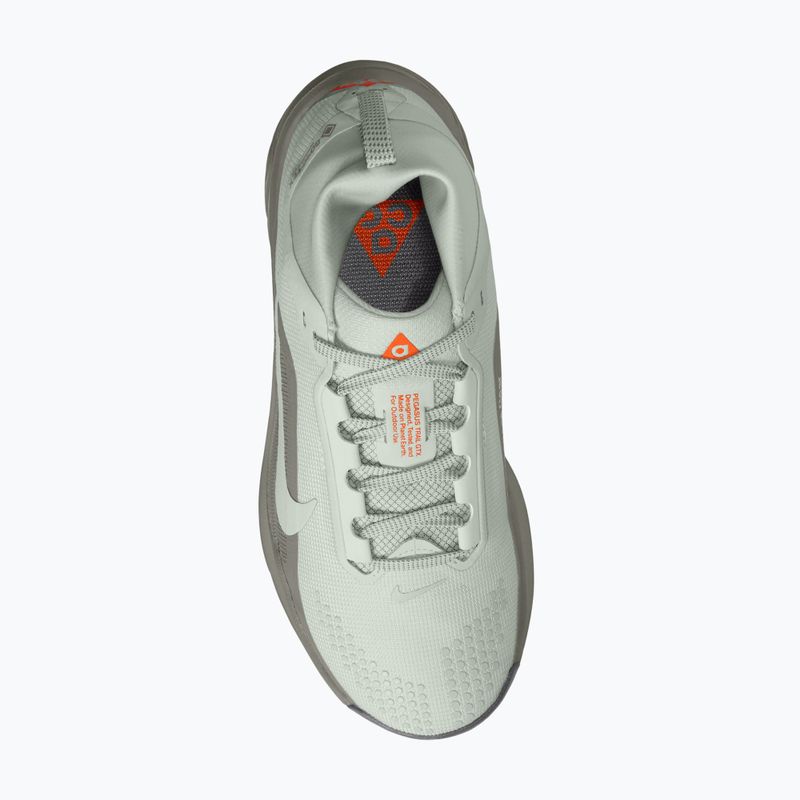 Дамски обувки за бягане Nike ACG Pegasus Trail GORE-TEX Light Silver/Light Army/Light Silver 4