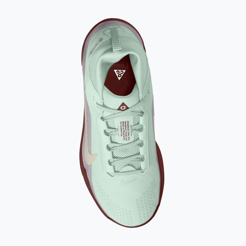 Дамски обувки за бягане Nike ACG Pegasus Trail GORE-TEX Barely Green/Silver Lilac/Light Bone 4