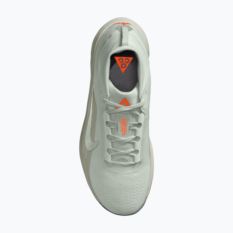 Мъжки обувки за бягане  Nike ACG Pegasus Trail GORE-TEX Light Silver/Light Army/Light Silver 4