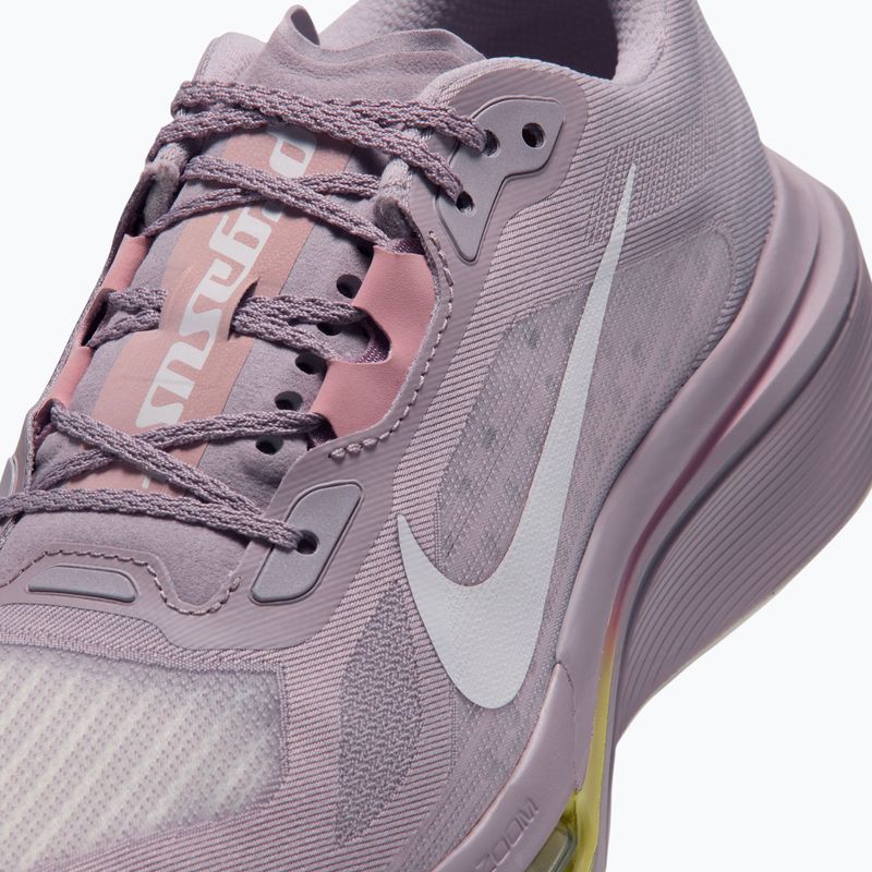 Дамски обувки за бягане Nike Pegasus Plus 2 silver lilac/particle rose/fennel/sail 5