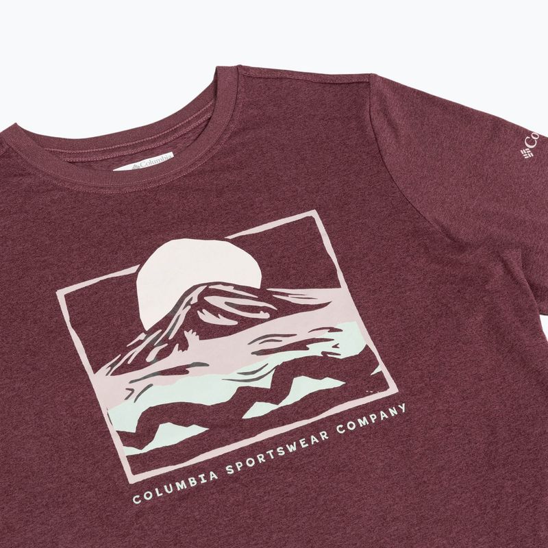 Дамска блуза с дълъг ръкав Columbia Parsons Point LS Graphic Tee antique mauve heather/all terrain 8