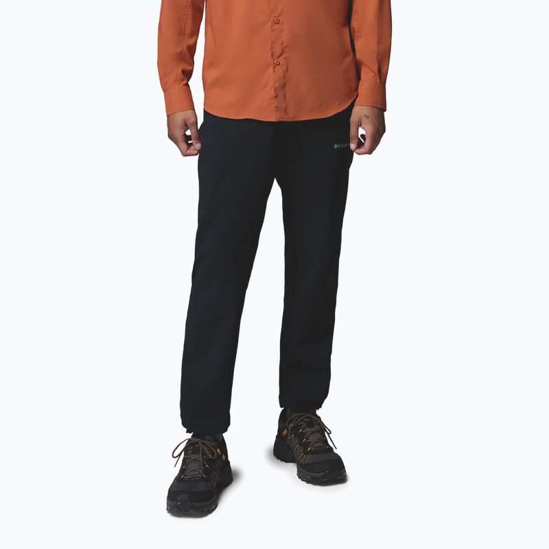 Мъжки туристически панталони Columbia Essential Hike™ Brushed Back black