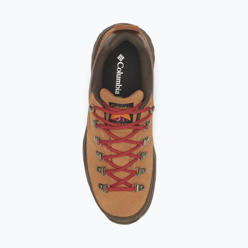 Мъжки обувки за трекинг Columbia Newton Alpine Low grizzly bear/red oxide 4