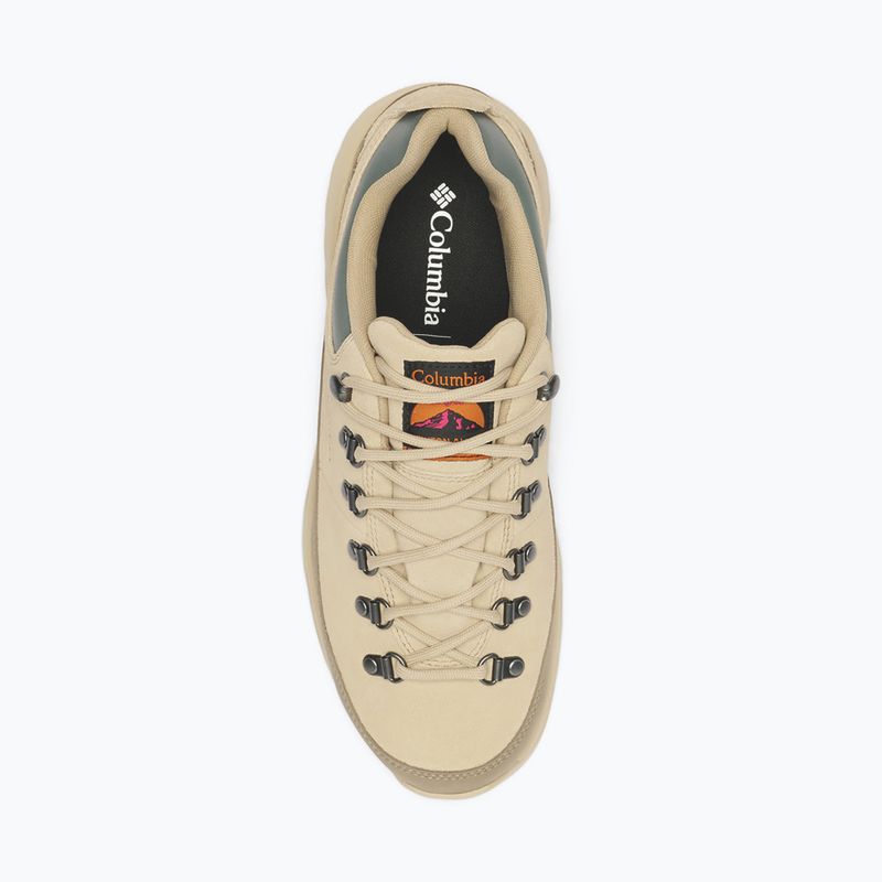 Мъжки обувки за трекинг Columbia Newton Alpine Low fossil/sedona sage 4