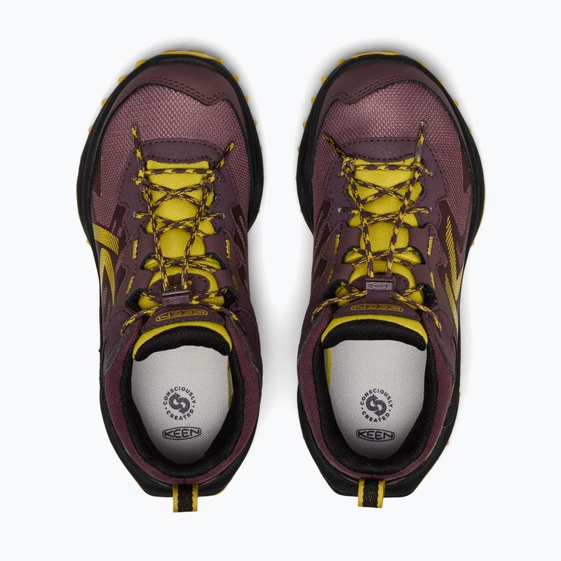 Детски обувки за трекинг KEEN Zionic Mid Wp huckleberry/mango mint 5