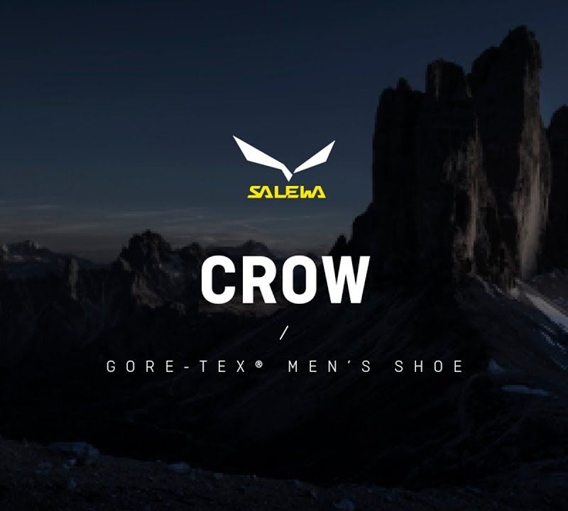 Salewa мъжки високопланински ботуши Crow GTX green 00-0000061328 12