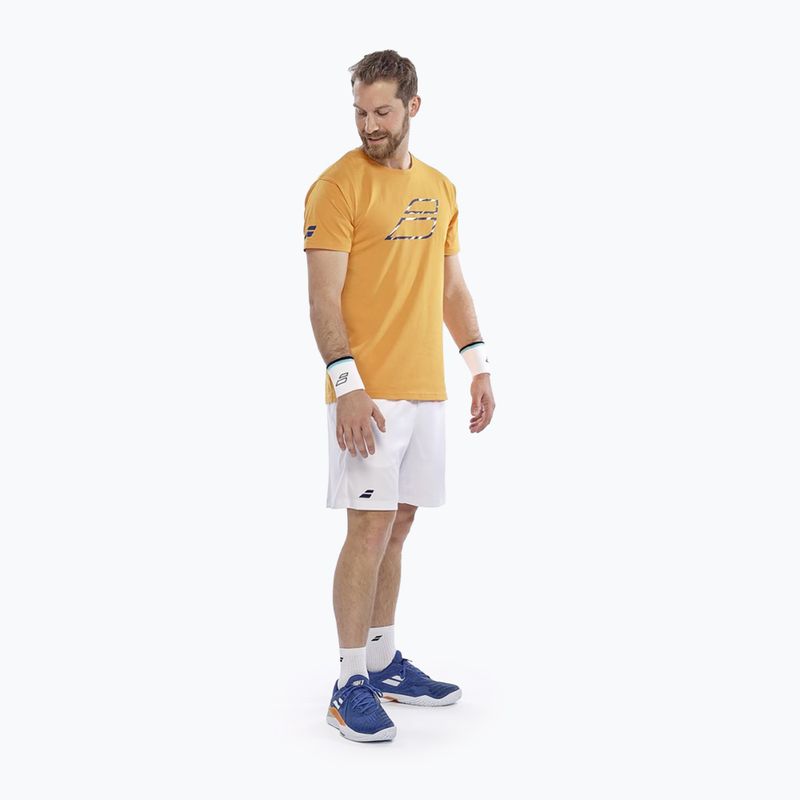 Мъжка тениска Babolat Exercise Big Flag autumn glory 2