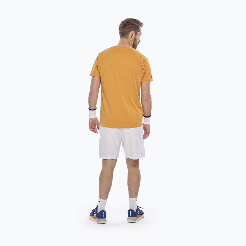 Мъжка тениска Babolat Exercise Big Flag autumn glory 3