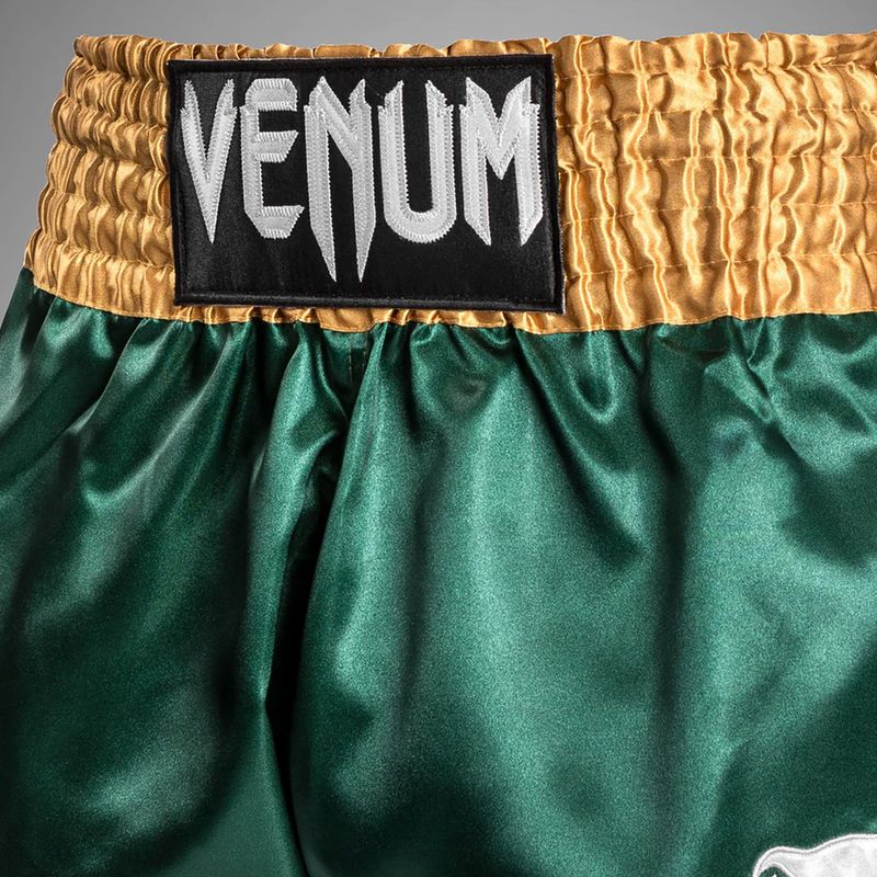 Мъжки тренировъчни шорти Venum Classic Muay Thai зелено/златно/бяло 6