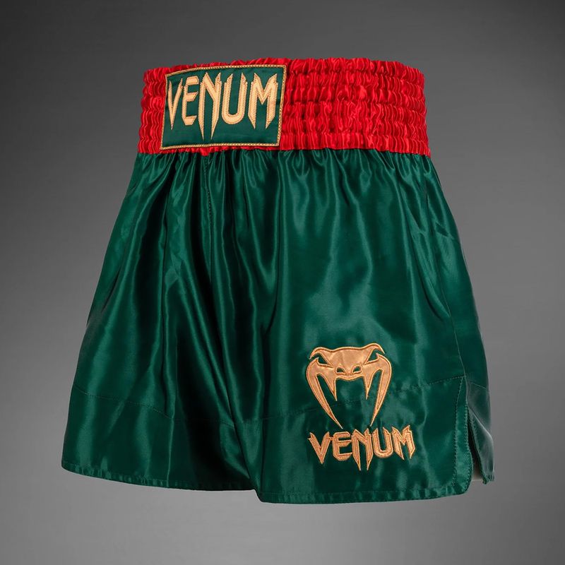 Мъжки тренировъчни шорти Venum Classic Muay Thai khaki 3