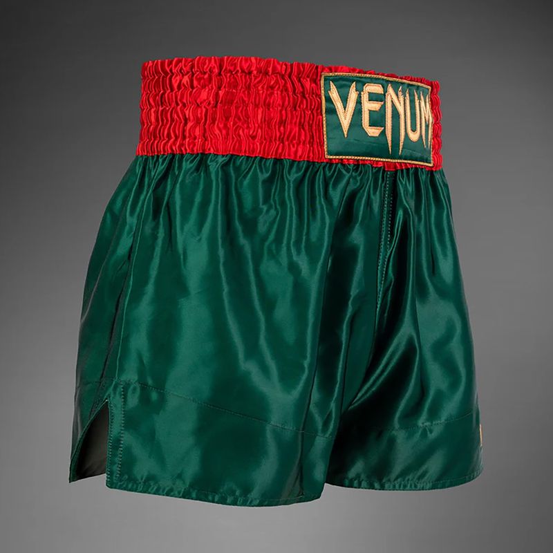 Мъжки тренировъчни шорти Venum Classic Muay Thai khaki 4