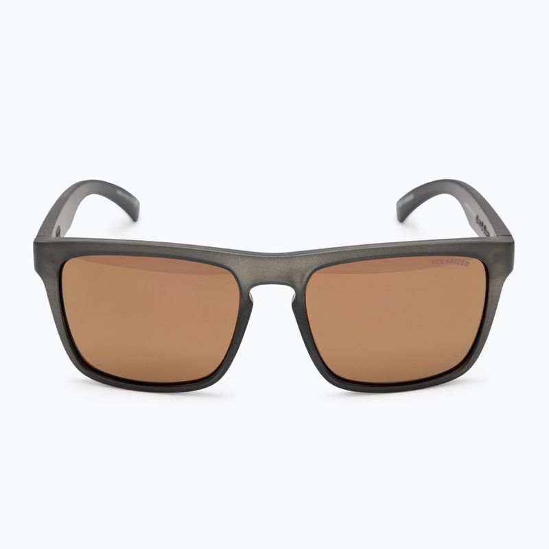 Мъжки слънчеви очила Quiksilver Ferris Polarised smoke/gold 3