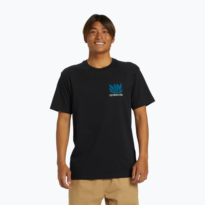 Мъжка тениска Quiksilver Natural Forms Mor black