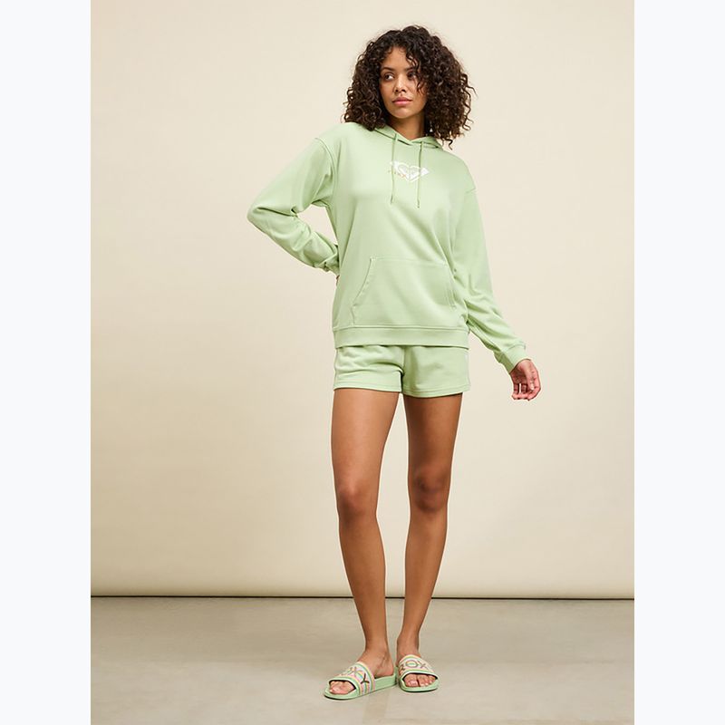 Дамски джапанки ROXY Slippy II green stripe 4