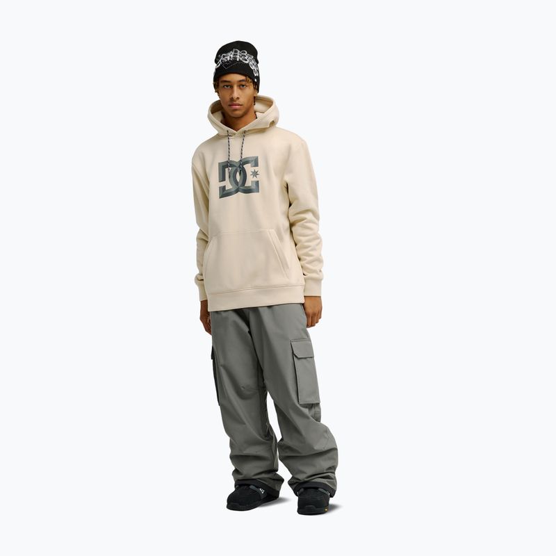 Мъжки суитшърт DC Snowstar oatmeal 2