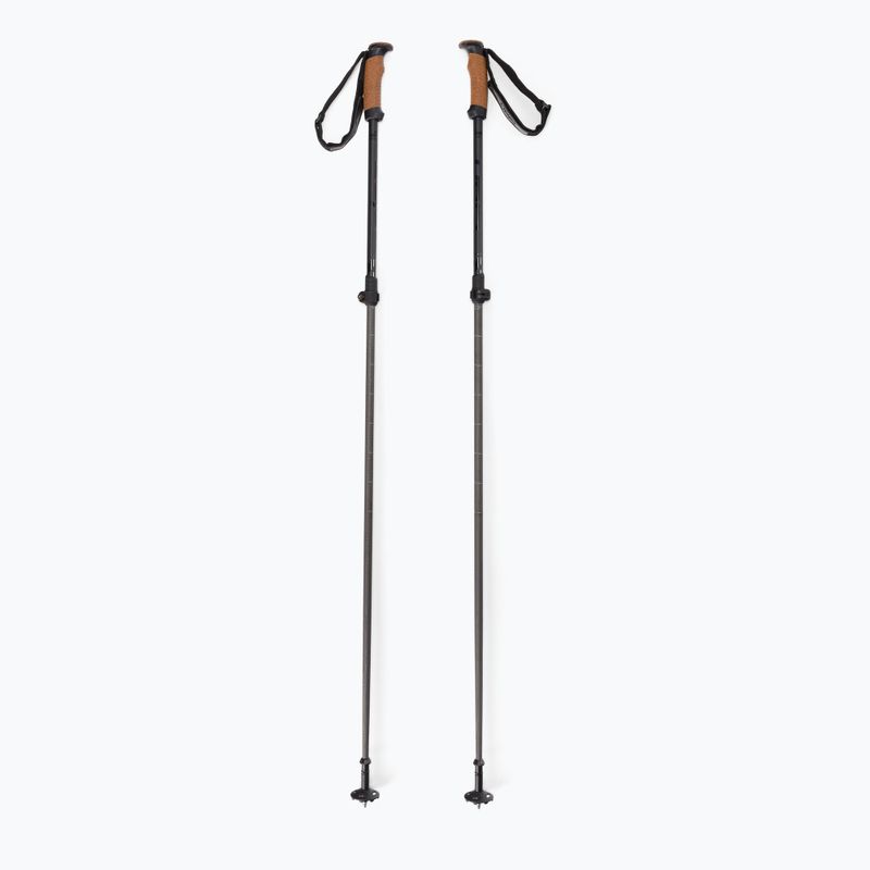 Ски палки Elan Voyager Rod черни CD907620