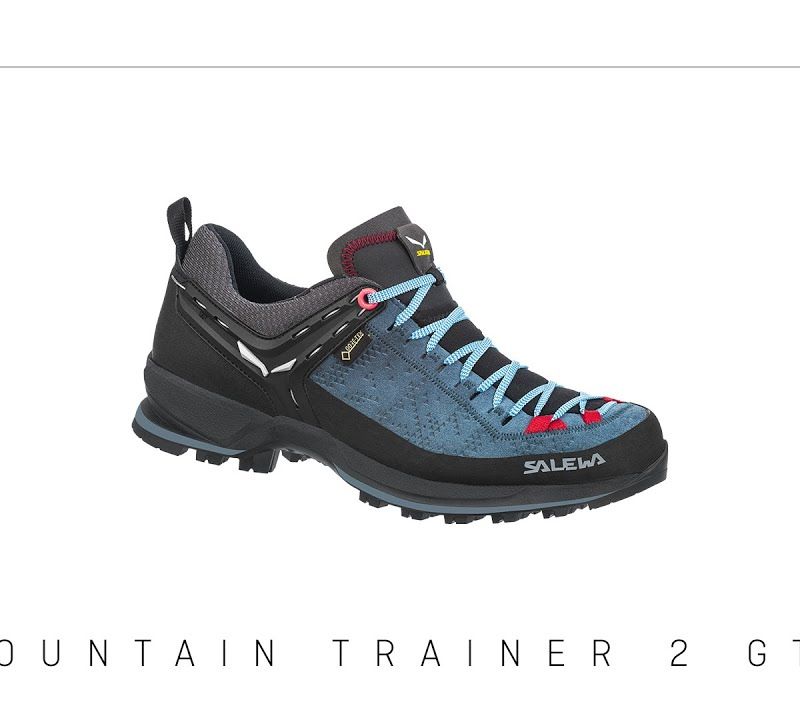 Мъжки ботуши за трекинг Salewa MTN Trainer 2 GTX blue 00-0000061356 11