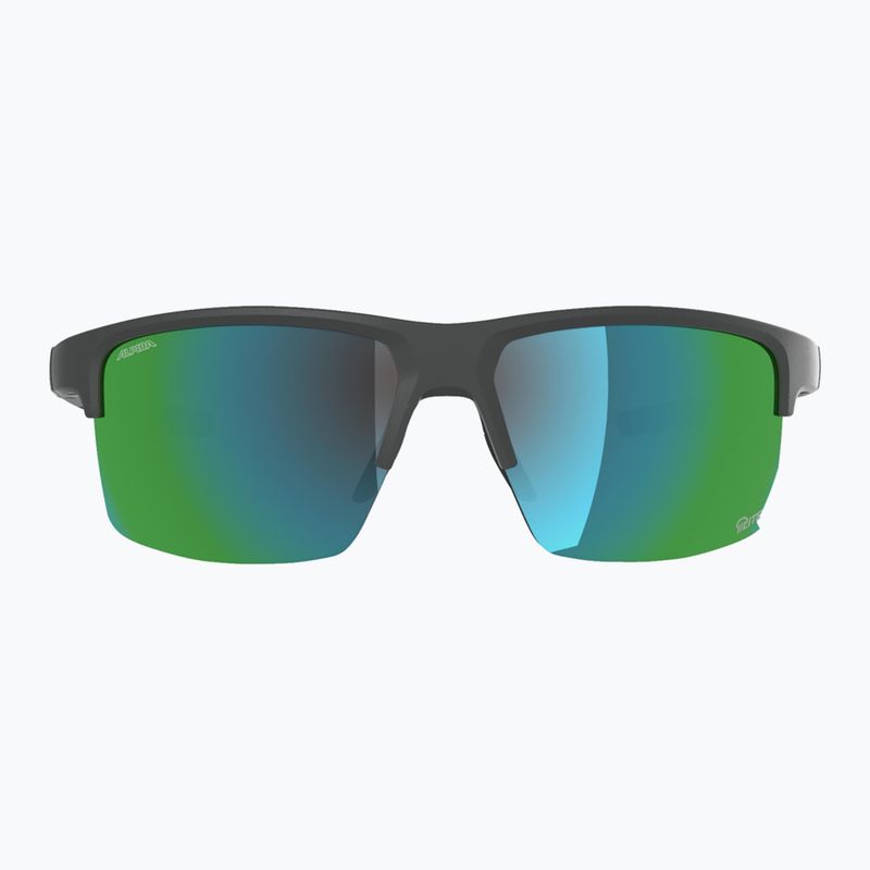 Слънчеви очила Alpina Eagle Q-Lite midnight/grey matt/green 2