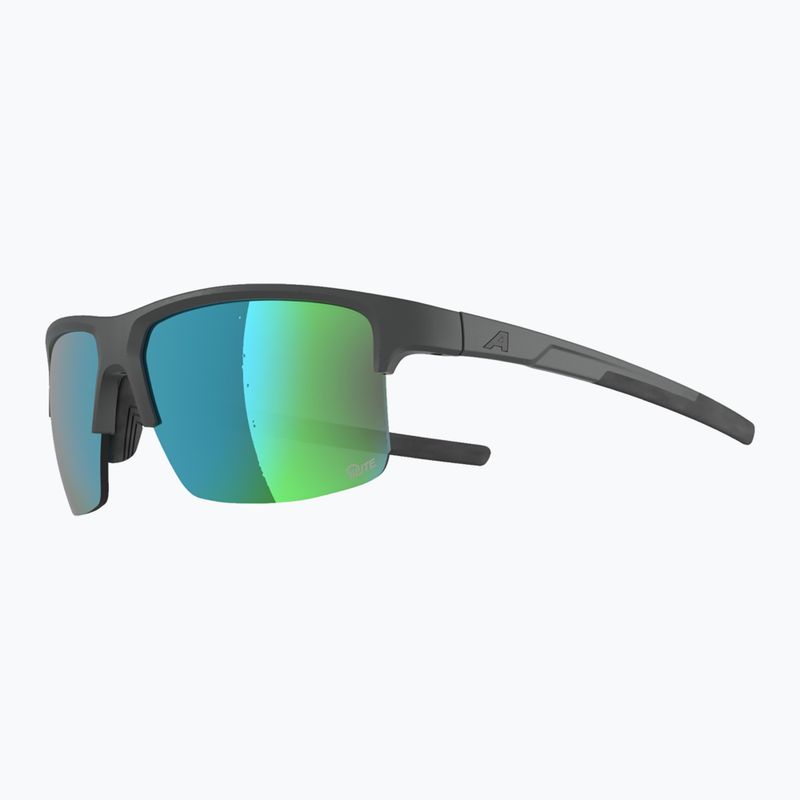 Слънчеви очила Alpina Eagle Q-Lite midnight/grey matt/green 3