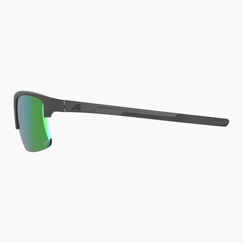 Слънчеви очила Alpina Eagle Q-Lite midnight/grey matt/green 5