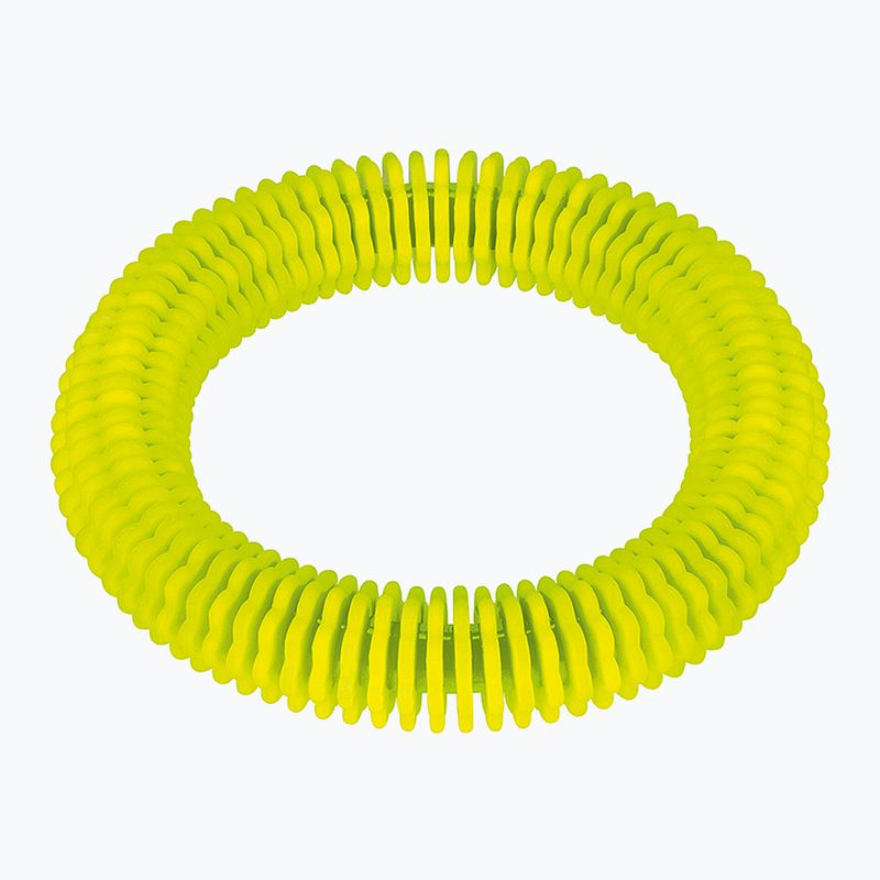 Играчка за гмуркане Fashy 4200 pierścień lamelowy neon green