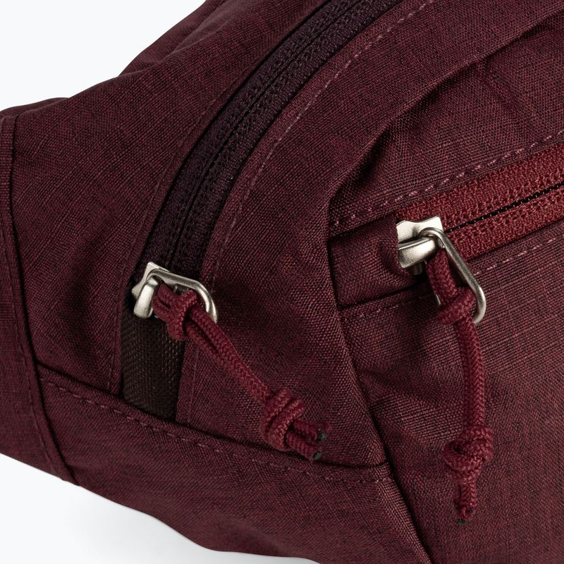 Бъбречно саше Deuter Belt I maroon 3900121 7