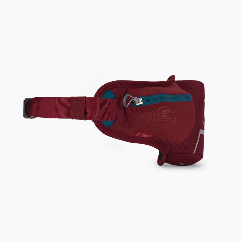 Deuter бъбречно саше Pulse 1 червено 391012150000 3