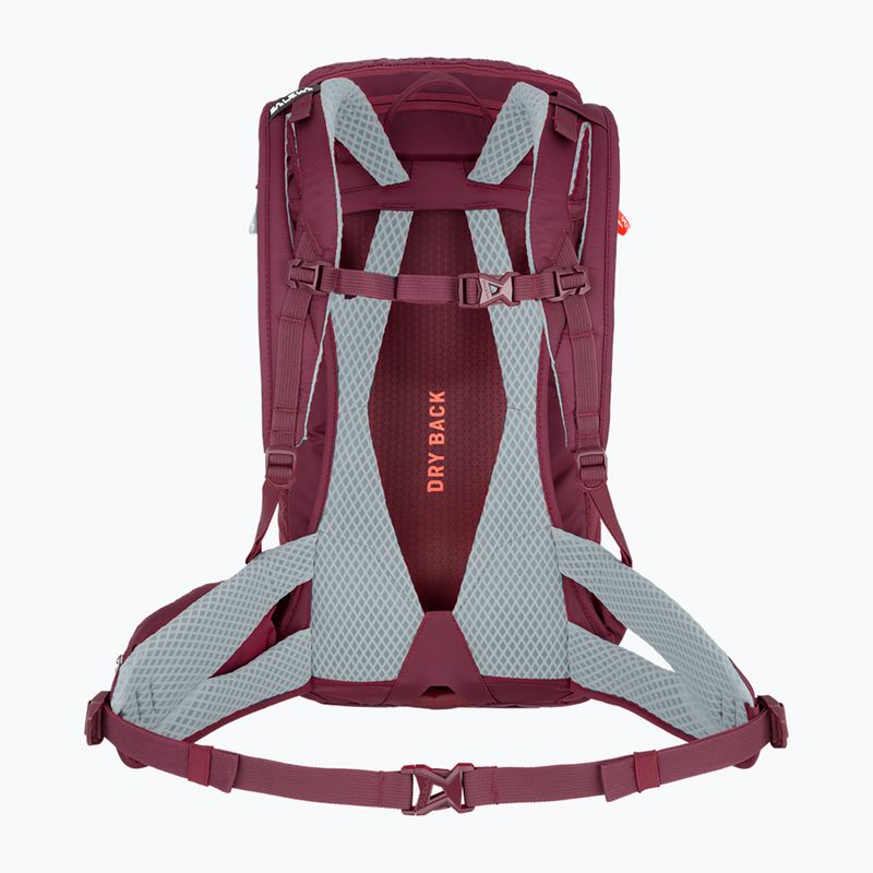Salewa Alp Trainer 20 дамска раница за трекинг лилава 00-0000001262 2