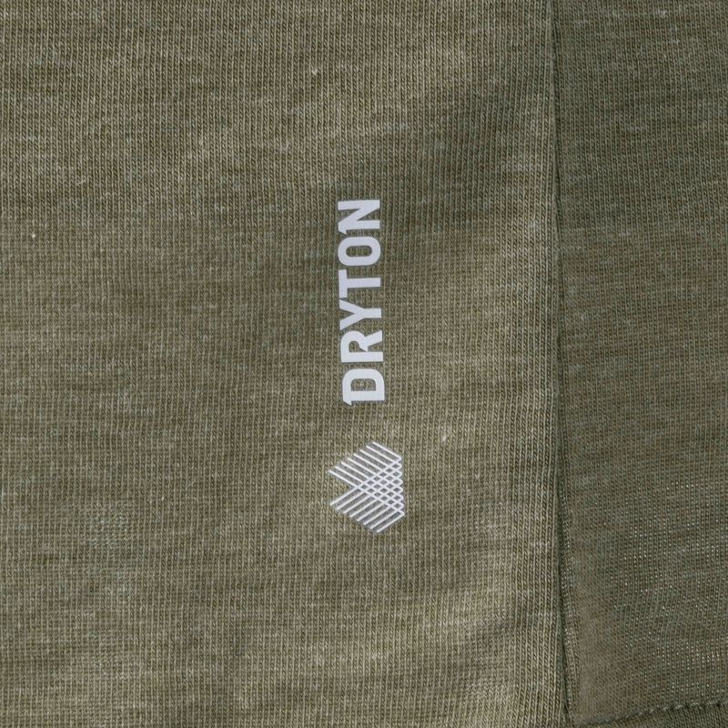 Мъжка риза за трекинг Salewa Solidlogo Dry каки 00-0000027018 7