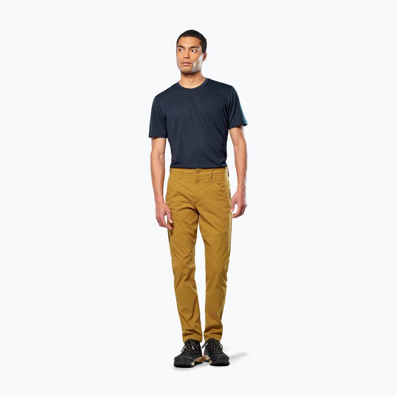 Мъжки панталони за трекинг Salewa Fanes Light golden brown 2