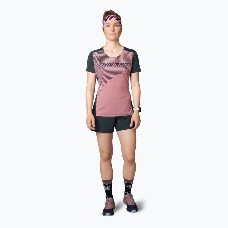 Дамска тениска DYNAFIT Alpine 2 Tee mokarosa за бягане 2