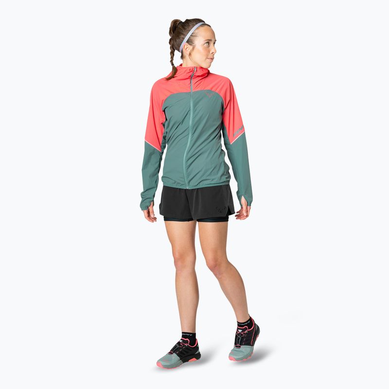 Дамско яке за бягане DYNAFIT Alpine Wind cabana atlantic 3